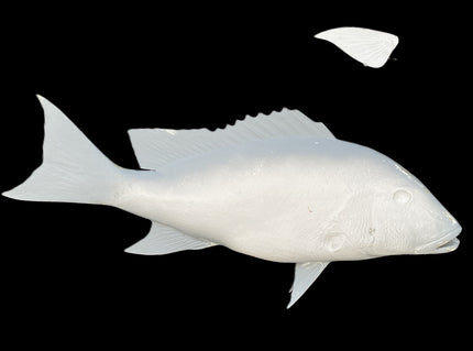 29-INCH MUTTON SNAPPER BLANK, STANDARD
