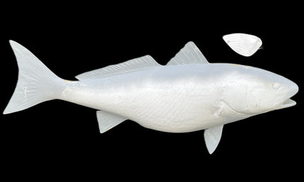 29-INCH REDFISH BLANK, STANDARD
