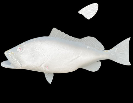 29-INCH RED GROUPER BLANK, STANDARD