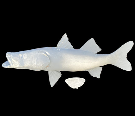 29-INCH COMMON SNOOK BLANK, STANDARD