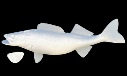 29-INCH WALLEYE BLANK, STANDARD