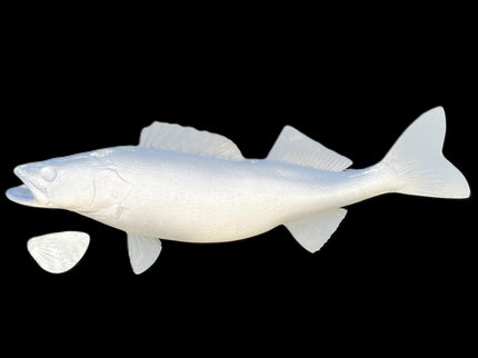 29-INCH WALLEYE BLANK, STANDARD