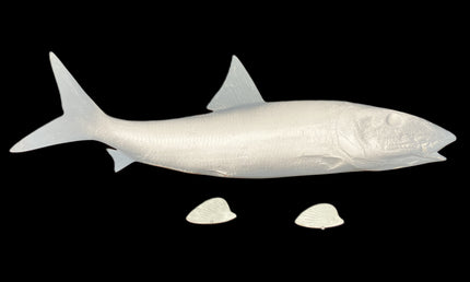 29-INCH BONEFISH BLANK, STANDARD