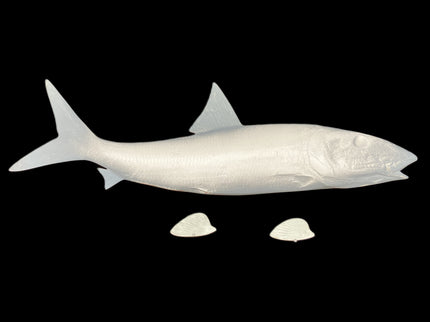 29-INCH BONEFISH BLANK, STANDARD