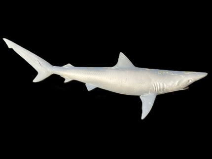 30-INCH BLACKTIP SHARK BLANK, STANDARD