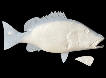 30-INCH DOG SNAPPER BLANK, STANDARD