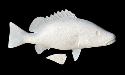 30-INCH MANGROVE SNAPPER BLANK, STANDARD