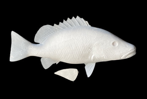 30-INCH MANGROVE SNAPPER BLANK, STANDARD