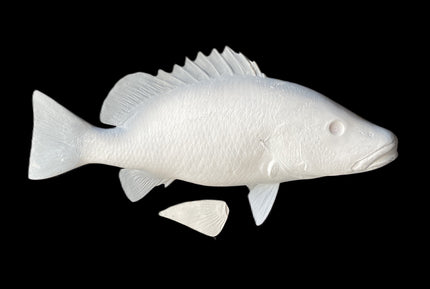30-INCH MANGROVE SNAPPER BLANK, STANDARD