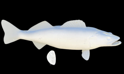 30-INCH WALLEYE BLANK, STANDARD