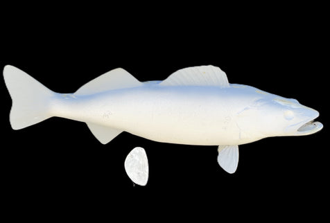 30-INCH WALLEYE BLANK, STANDARD