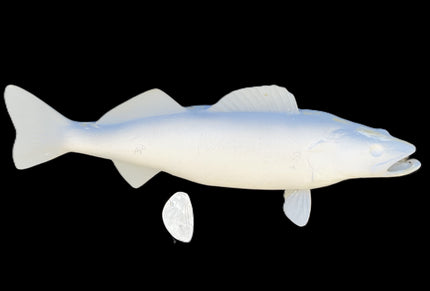 30-INCH WALLEYE BLANK, STANDARD