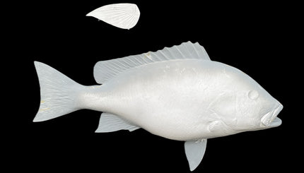 30-INCH RED SNAPPER BLANK, STANDARD