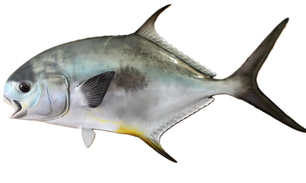 30-INCH PERMIT