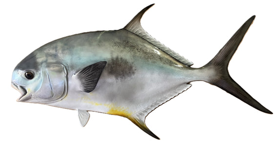 30-INCH PERMIT