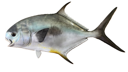 30-INCH PERMIT