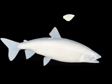 30-INCH LAKE TROUT BLANK, STANDARD