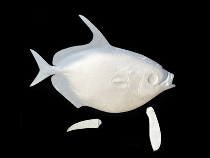 Collection image for: OPAH BLANKS