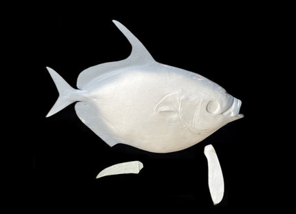 31-INCH OPAH BLANK, STANDARD