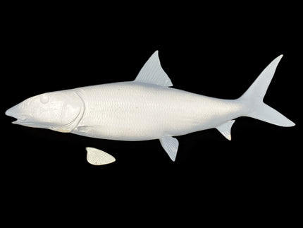 31-INCH BONEFISH BLANK, STANDARD