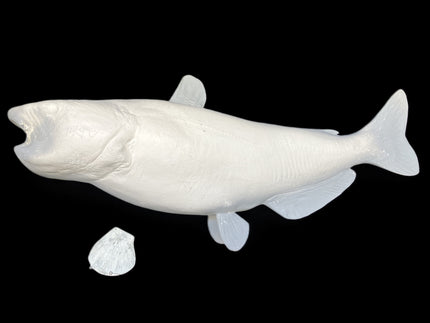 31-INCH CATFISH BLANK, STANDARD