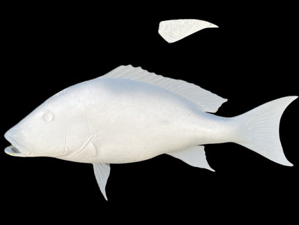31-INCH MUTTON SNAPPER BLANK, STANDARD