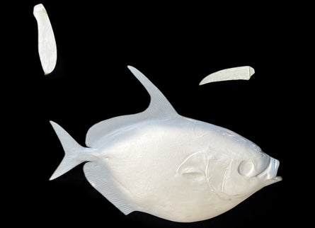 31-INCH OPAH BLANK, STANDARD
