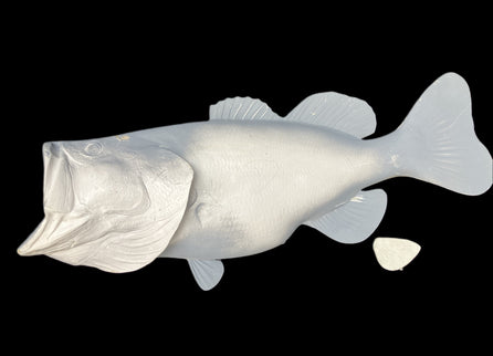 WORLD RECORD LARGEMOUTH BASS BLANK, STANDARD