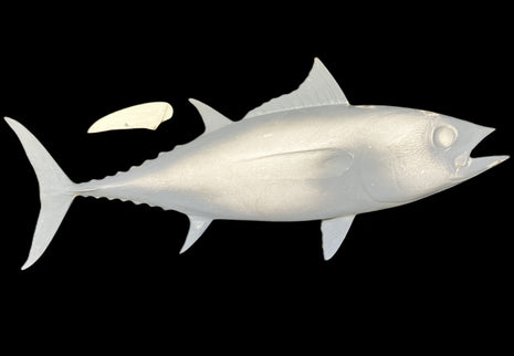 32-INCH BLACKFIN TUNA BLANK, STANDARD