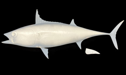32-INCH BONITO BLANK, STANDARD