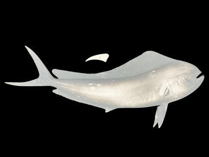 32-INCH BULL DOLPHIN BLANK, STANDARD