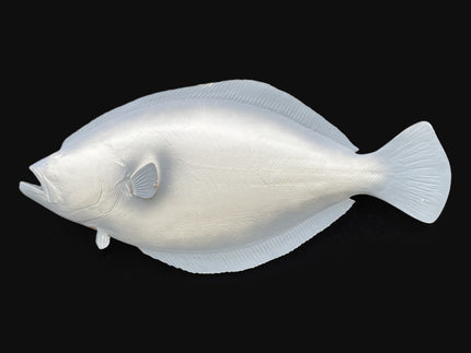 32-INCH FLOUNDER BLANK, STANDARD
