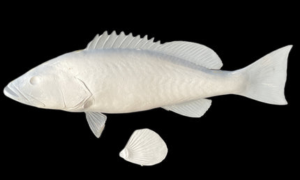 32-INCH GAG GROUPER BLANK, STANDARD