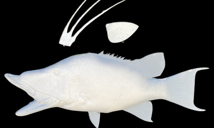 32-INCH HOG SNAPPER BLANK, STANDARD