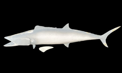 32-INCH SPANISH MACKEREL BLANK, STANDARD