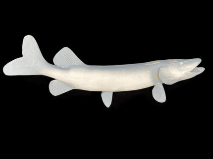 32-INCH NORTHERN PIKE BLANK, STANDARD