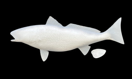 32-INCH REDFISH BLANK, STANDARD