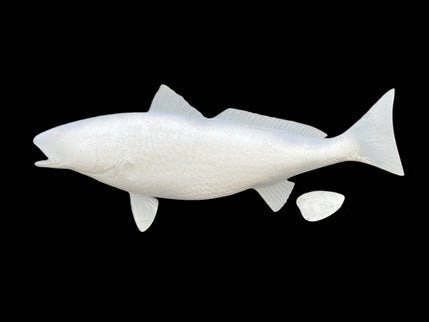 32-INCH REDFISH BLANK, STANDARD