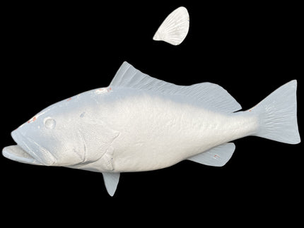 32-INCH RED GROUPER BLANK, STANDARD