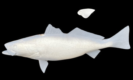 32-INCH SEATROUT BLANK, STANDARD