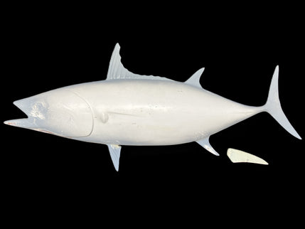 32-INCH SKIPJACK TUNA BLANK, STANDARD