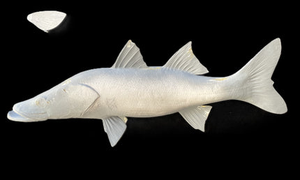 32-INCH COMMON SNOOK BLANK, STANDARD
