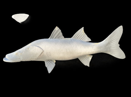 32-INCH COMMON SNOOK BLANK, STANDARD