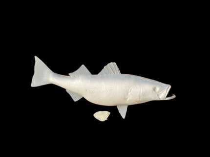33-INCH STRIPED BASS BLANK, STANDARD