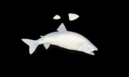 33-INCH LAKE TROUT BLANK, STANDARD