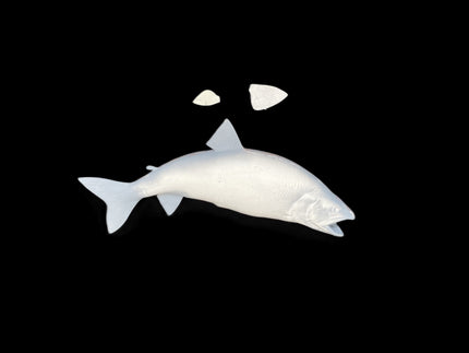 33-INCH LAKE TROUT BLANK, STANDARD