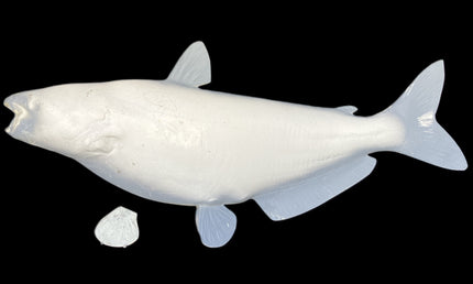 34-INCH CATFISH BLANK, STANDARD