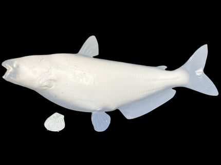 34-INCH CATFISH BLANK, STANDARD