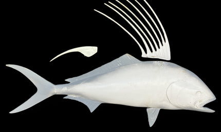 34-INCH ROOSTERFISH BLANK, STANDARD