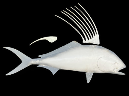 34-INCH ROOSTERFISH BLANK, STANDARD